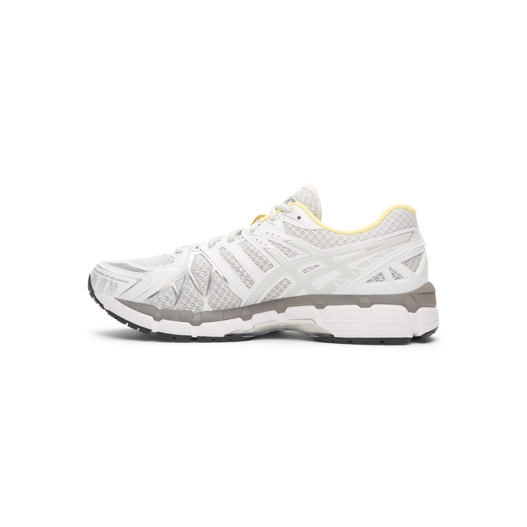 Asics Gel-Kayano 20 (Glacier Grey/Glacier Grey)